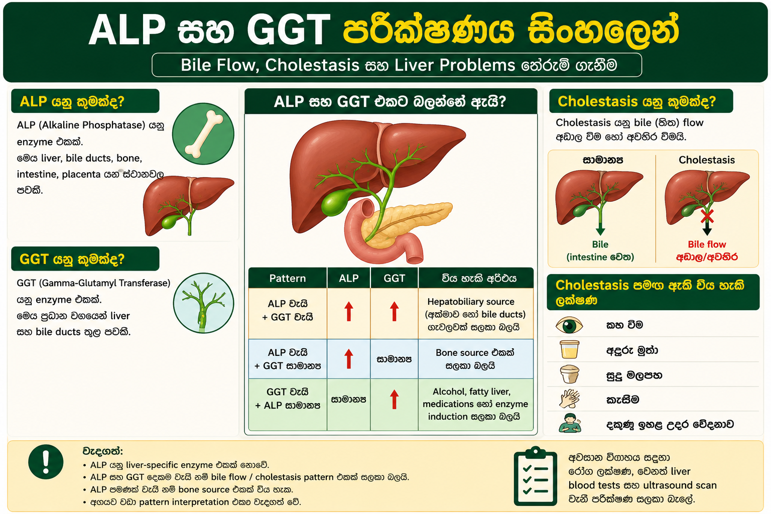 ALP සහ GGT පරීක්ෂණය, cholestasis සහ bile flow pattern සිංහල infographic