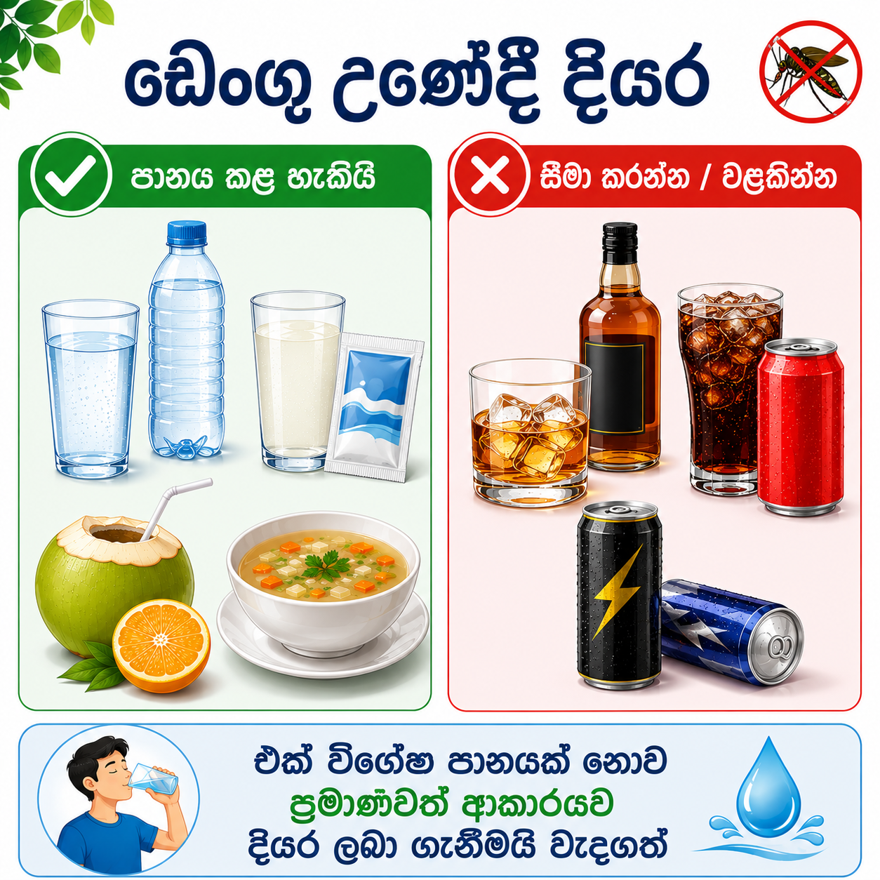 ඩෙංගු උණේදී පානය කිරීමට සුදුසු දියර සහ සීමා කළ යුතු බීම වර්ග