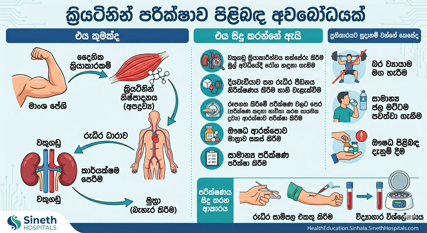 සීරම් ක්‍රියැටිනින් පරීක්ෂාව සහ වකුගඩු ක්‍රියාකාරීත්වය