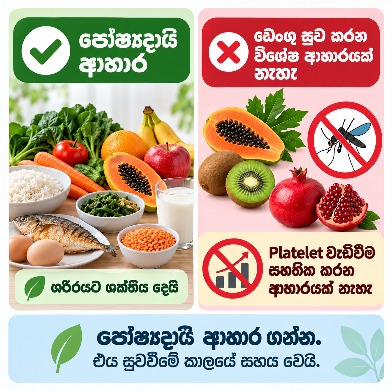 පෝෂ්‍යදායී ආහාර ඩෙංගු සුව කරන ප්‍රතිකාරයක් හෝ platelet වැඩිවීම සහතික කරන ක්‍රමයක් නොවන බව පැහැදිලි කරන රූපය