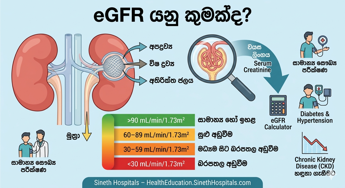 eGFR යනු කුමක්ද සහ වකුගඩු ක්‍රියාකාරීත්වය සිංහලෙන්
