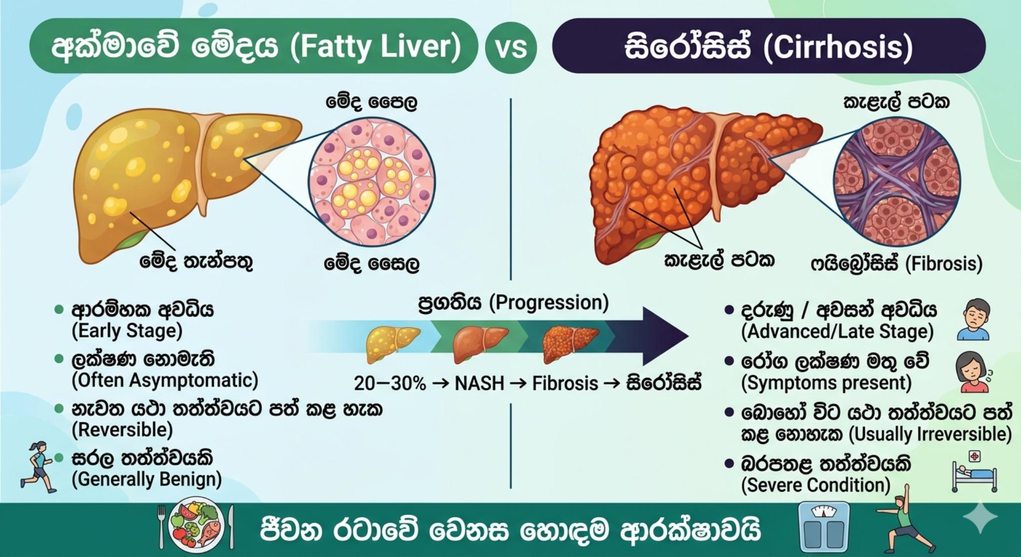 fatty liver සහ cirrhosis අතර වෙනස