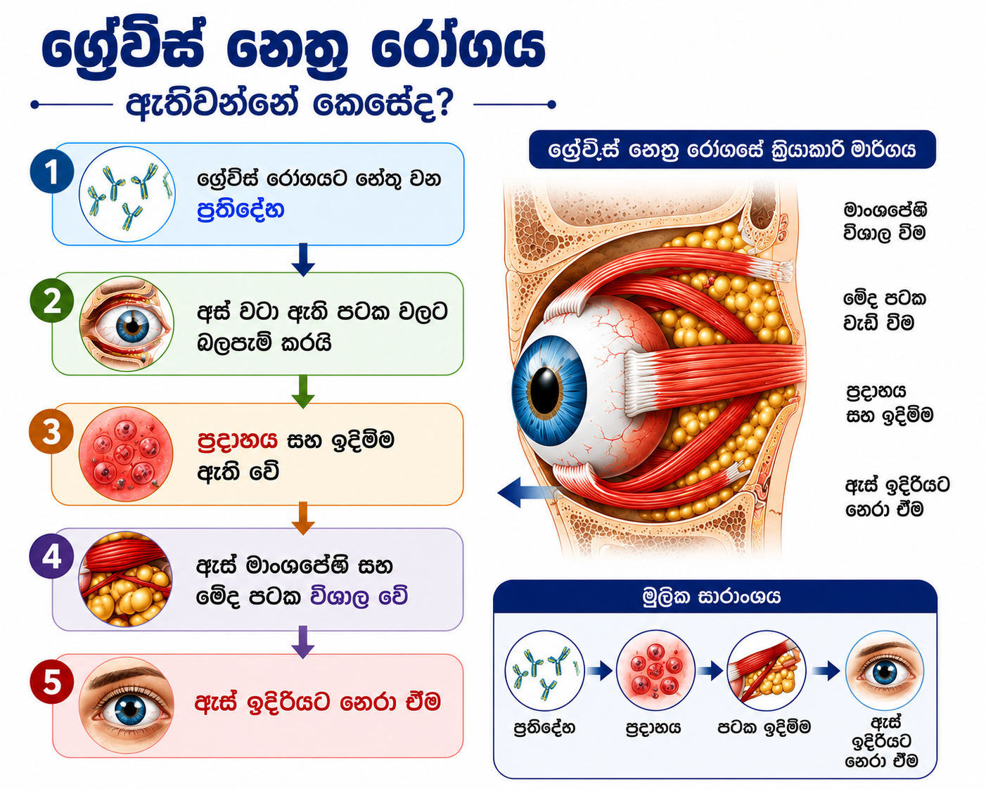 ග්‍රේව්ස් නෙත්‍ර රෝගය ඇතිවන ආකාරය — ප්‍රතිදේහ, ප්‍රදාහය, ඇස් නෙරා ඒම