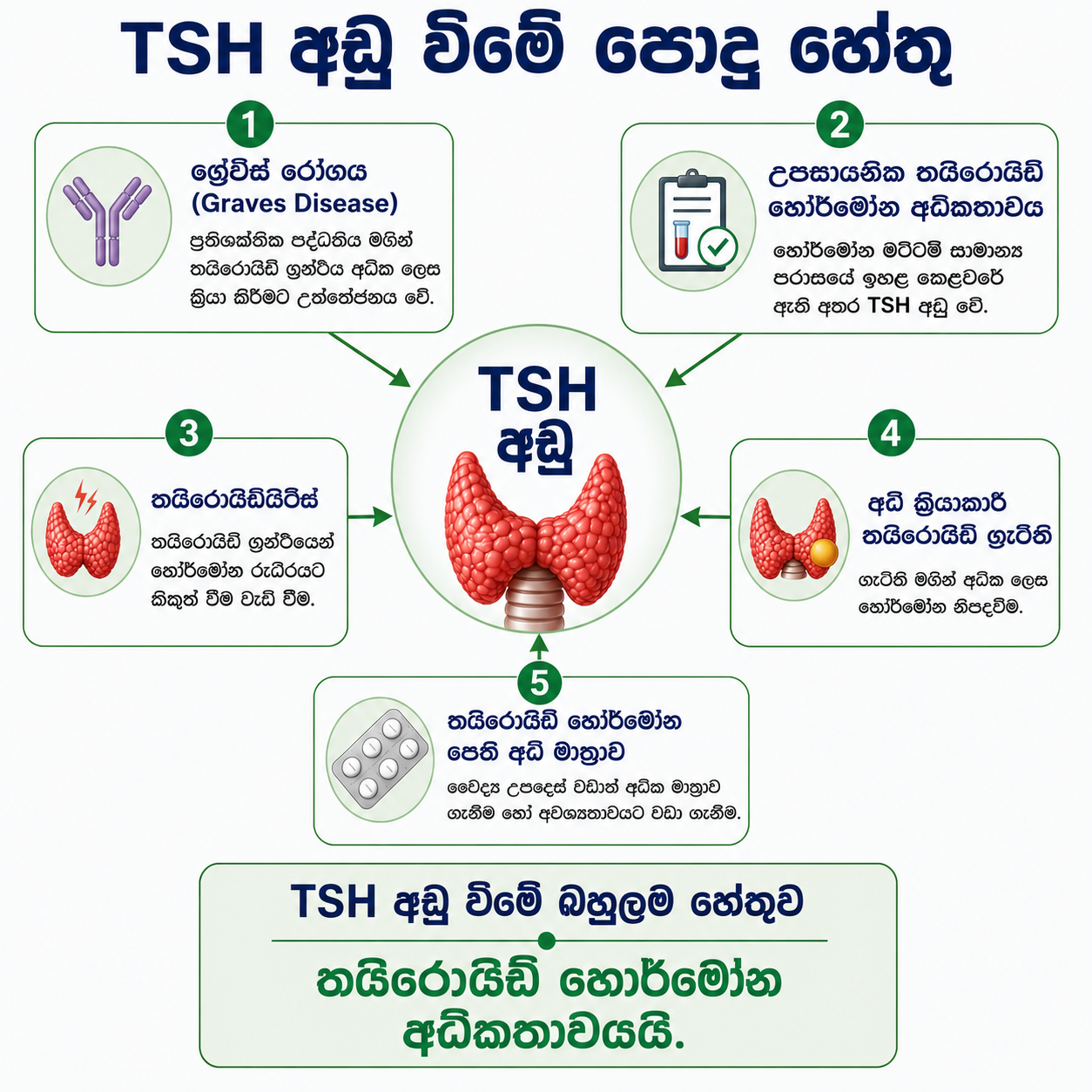 TSH අඩු වීමේ හේතු — හේතු සිතියම