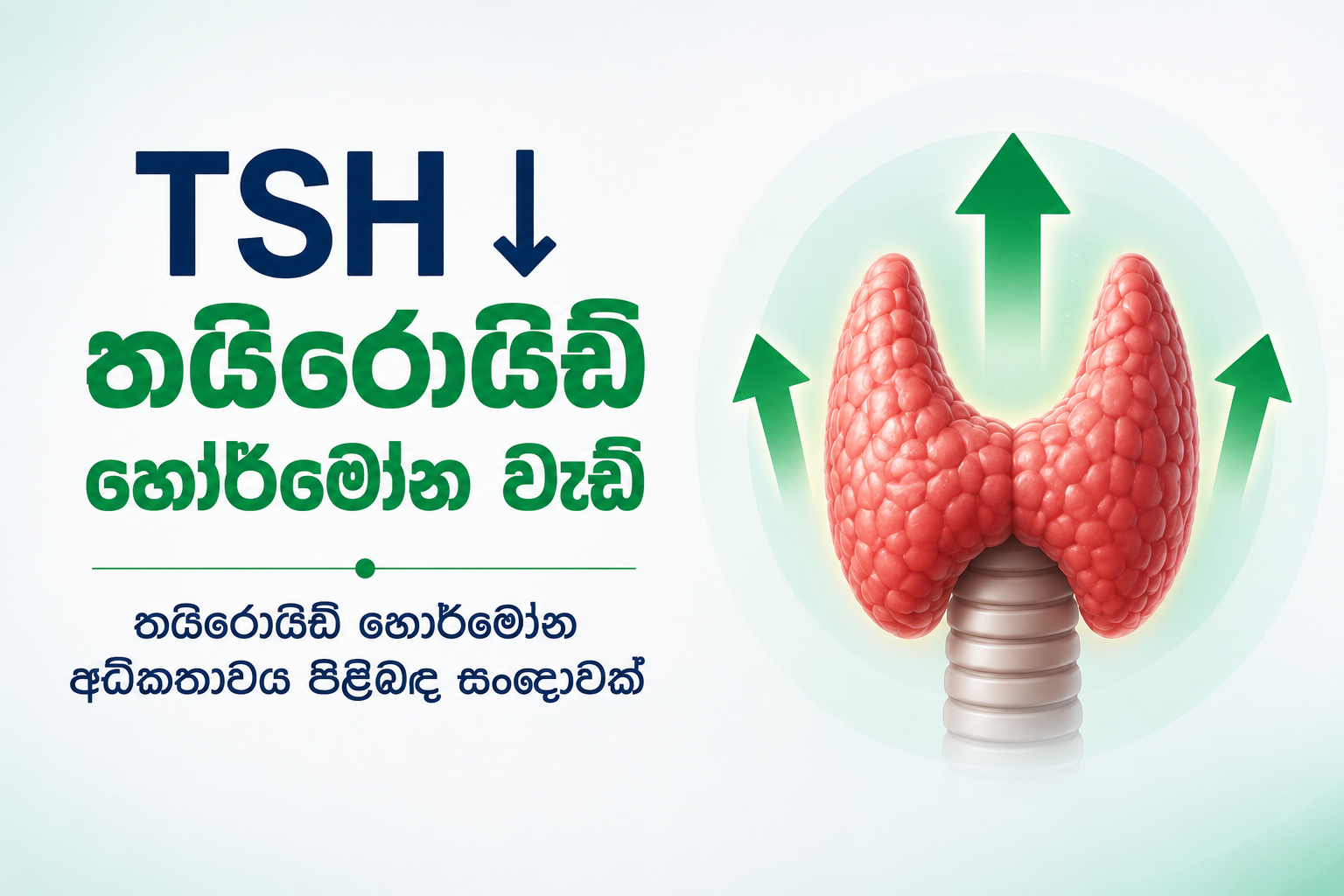TSH අඩු වීම — පිටියුටරි ග්‍රන්ථිය TSH නිපදවීම අඩු කිරීමේ ක්‍රියාවලිය