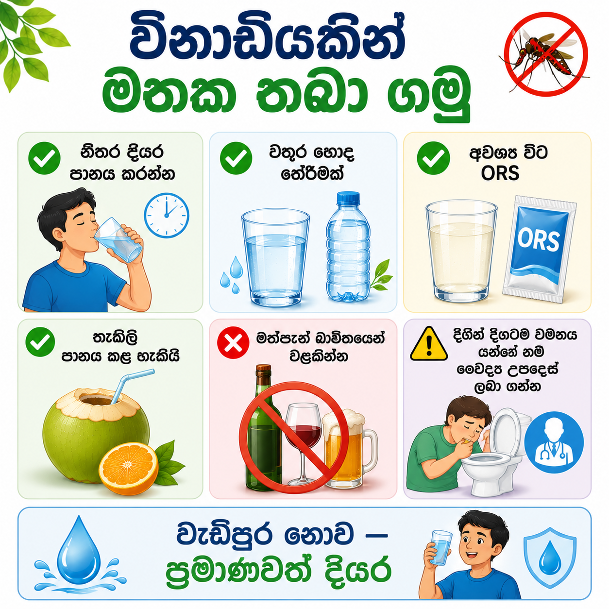 ඩෙංගු උණේදී දියර පානය කිරීම පිළිබඳ කෙටි සාරාංශය