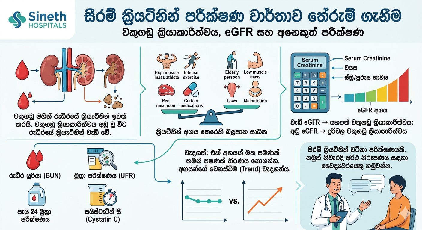 ක්‍රියැටිනින් ප්‍රතිඵල, eGFR සහ වකුගඩු ක්‍රියාකාරීත්වය තේරුම් ගැනීම